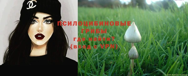 твердый Алзамай