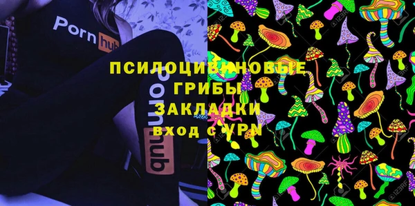 2c-b Алексин
