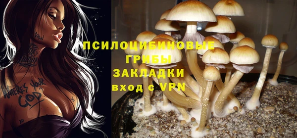 2c-b Алексин